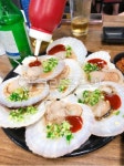조개, 가리비, 가리비회, food, 음식, 사진,이미지,일러스트,캘리그라피 - yoonna작가 크라우드픽 - 저작권 걱정 없는 상업용 이미지