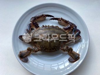꽃게, 간장게장, 게장, 음식, food, 사진,이미지,일러스트,캘리그라피 - 콜록작가 크라우드픽 - 저작권 걱정 없는 상업용 이미지