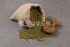 녹두, 녹두전, 빈대떡, 곡식, 잡곡, 사진,이미지,일러스트,캘리그라피 - 박프로 진Studio작가 크라우드픽 - 저작권 걱정 없는 상업용 이미지