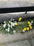 길가, 길위의꽃, 길가의잡초, 길가의꽃, 길가에핀꽃, 사진,이미지,일러스트,캘리그라피 - 냥토끼작가 크라우드픽 - 저작권 걱정 없는 상업용 이미지