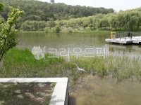 북서울꿈의숲, 월영지, 공원, 왜가리, 전망대, 사진,이미지,일러스트,캘리그라피 - 원이토끼작가 크라우드픽 - 저작권 걱정 없는 상업용 이미지