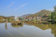 인천대공원, 공원, 호수, 저수지, 물, 사진,이미지,일러스트,캘리그라피 - imlover작가 크라우드픽 - 저작권 걱정 없는 상업용 이미지
