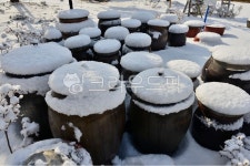 nature, 자연, outdoors, 옥외, snow, 사진,이미지,일러스트,캘리그라피 - 영산공작가 크라우드픽 - 저작권 걱정 없는 상업용 이미지