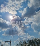 하늘, 해, 구름, 나무, 날씨, 사진,이미지,일러스트,캘리그라피 - hibobo작가 크라우드픽 - 저작권 걱정 없는 상업용 이미지