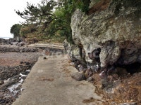 망장포구, 바다, 해변, 올레5코스, 올레길, 사진,이미지,일러스트,캘리그라피 - Deep bLUE작가 크라우드픽 - 저작권 걱정 없는 상업용 이미지