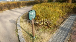 서울, 공원, 편안한길, 길, 안내, 사진,이미지,일러스트,캘리그라피 - 노담작가 크라우드픽 - 저작권 걱정 없는 상업용 이미지