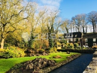 영국, 자연, 강, 노란색, nature, 사진,이미지,일러스트,캘리그라피 - Sean41작가 크라우드픽 - 저작권 걱정 없는 상업용 이미지