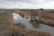 안성천, 안성천둔치, 자연, 옥외, outdoors, 사진,이미지,일러스트,캘리그라피 - Deep bLUE작가 크라우드픽 - 저작권 걱정 없는 상업용 이미지