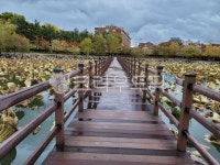 산책로, 다리, 남매지, 연꽃, 남매저수지, 사진,이미지,일러스트,캘리그라피 - 제이레드작가 크라우드픽 - 저작권 걱정 없는 상업용 이미지