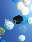 하늘, 우산, 디자인, 배경, 맑은, 사진,이미지,일러스트,캘리그라피 - Jule작가 크라우드픽 - 저작권 걱정 없는 상업용 이미지