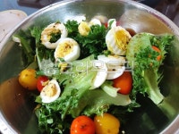 샐러드, 비건, 채소, 야채, 계란, 사진,이미지,일러스트,캘리그라피 - 즐거운작가 크라우드픽 - 저작권 걱정 없는 상업용 이미지