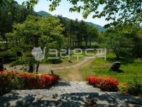 자연, outdoors, 옥외, nature, 생태공원, 사진,이미지,일러스트,캘리그라피 - 나루캉작가 크라우드픽 - 저작권 걱정 없는 상업용 이미지