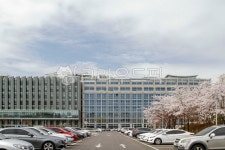 고대, 고려대, 고려대학교, 서울, 안암동, 사진,이미지,일러스트,캘리그라피 - imlover작가 크라우드픽 - 저작권 걱정 없는 상업용 이미지