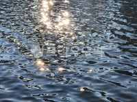 물, 강, light, 빛, 윤슬, 사진,이미지,일러스트,캘리그라피 - jwg109작가 크라우드픽 - 저작권 걱정 없는 상업용 이미지