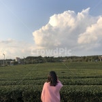 제주, 제주도, 사람, 인간, 뒷모습, 사진,이미지,일러스트,캘리그라피 - Noberon85작가 크라우드픽 - 저작권 걱정 없는 상업용 이미지