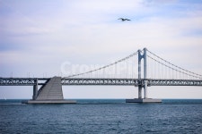 바다, 대교, 다리, 광안대교, bridge, 사진,이미지,일러스트,캘리그라피 - 호우작가 크라우드픽 - 저작권 걱정 없는 상업용 이미지
