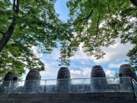 봉수대, 남산봉수대, 봉화, 자연, tree, 사진,이미지,일러스트,캘리그라피 - 꽃잎s작가 크라우드픽 - 저작권 걱정 없는 상업용 이미지