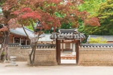 창덕궁, 동궁, 동궐, 연경당, 보물, 사진,이미지,일러스트,캘리그라피 - sinsy작가 크라우드픽 - 저작권 걱정 없는 상업용 이미지