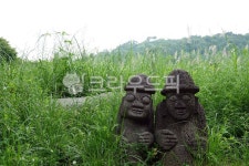 풀밭, 돌하르방, 돌하루방, 제주도, 돌, 사진,이미지,일러스트,캘리그라피 - 나비처럼작가 크라우드픽 - 저작권 걱정 없는 상업용 이미지