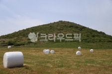 오름, 사일러지, 말, 목장, 제주, 사진,이미지,일러스트,캘리그라피 - AraJ작가 크라우드픽 - 저작권 걱정 없는 상업용 이미지