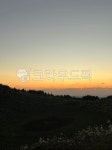 노을, 가을, 갈대, 나무, 저녁, 사진,이미지,일러스트,캘리그라피 - ckgusdk2작가 크라우드픽 - 저작권 걱정 없는 상업용 이미지