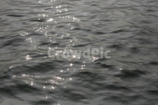 water, 물, 파도, 물결, 빛, 사진,이미지,일러스트,캘리그라피 - jokercokr작가 크라우드픽 - 저작권 걱정 없는 상업용 이미지