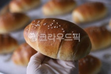 bun, bread, 빵, 소금빵, 시오빵, 사진,이미지,일러스트,캘리그라피 - solsol0411작가 크라우드픽 - 저작권 걱정 없는 상업용 이미지