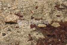 ground, 지면, 물, 계곡, 옹달샘, 사진,이미지,일러스트,캘리그라피 - 포토제이작가 크라우드픽 - 저작권 걱정 없는 상업용 이미지