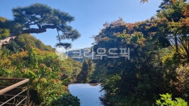 nature, 자연, 옥외, tree, 화담숲, 사진,이미지,일러스트,캘리그라피 - 윤하잉작가 크라우드픽 - 저작권 걱정 없는 상업용 이미지