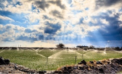 제주, 시골풍경, 밭, 구름, 빛내림, 사진,이미지,일러스트,캘리그라피 - Vaun작가 크라우드픽 - 저작권 걱정 없는 상업용 이미지
