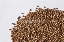 알갱이, 수수, 곡식, 곡류, 음식, 사진,이미지,일러스트,캘리그라피 - binimin작가 크라우드픽 - 저작권 걱정 없는 상업용 이미지