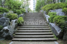 나무계단, 계단, 여름, 오르막, 도전, 사진,이미지,일러스트,캘리그라피 - mytenny227작가 크라우드픽 - 저작권 걱정 없는 상업용 이미지