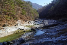 용대리계곡, 겨울, 자연, 옥빛물, water, 사진,이미지,일러스트,캘리그라피 - 웅장작가 크라우드픽 - 저작권 걱정 없는 상업용 이미지