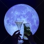 블루문, 칵테일, 그림자, bluemoon, night, 사진,이미지,일러스트,캘리그라피 - 샐리정작가 크라우드픽 - 저작권 걱정 없는 상업용 이미지