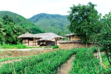 강원도, 고성, 왕곡마을, 민속마을, 전통, 사진,이미지,일러스트,캘리그라피 - 사진속으로작가 크라우드픽 - 저작권 걱정 없는 상업용 이미지