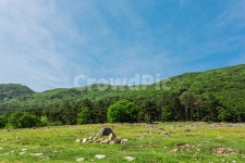 목장, 파란하늘, 숲, 들판, 목초지, 사진,이미지,일러스트,캘리그라피 - 집시작가 크라우드픽 - 저작권 걱정 없는 상업용 이미지