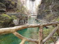 wood, 목재, river, 강, nature, 사진,이미지,일러스트,캘리그라피 - vely87작가 크라우드픽 - 저작권 걱정 없는 상업용 이미지