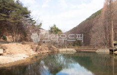 온빛자연휴양림, outdoors, 옥외, nature, 자연, 사진,이미지,일러스트,캘리그라피 - studio H작가 크라우드픽 - 저작권 걱정 없는 상업용... 