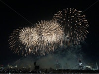 불꽃축제, 불꽃놀이, 포항, 형산강체육공원, 축제, 사진,이미지,일러스트,캘리그라피 - OOOv작가 크라우드픽 - 저작권 걱정 없는 상업용 이미지