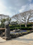 하르방, 옥외, outdoors, 정원, garden, 사진,이미지,일러스트,캘리그라피 - 궁디작가 크라우드픽 - 저작권 걱정 없는 상업용 이미지