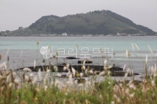 제주도, 섬, 해변, 바닷가, 푸른바다, 사진,이미지,일러스트,캘리그라피 - miya9744작가 크라우드픽 - 저작권 걱정 없는 상업용 이미지
