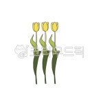 flower, 꽃, 튤립, yellow, art, 사진,이미지,일러스트,캘리그라피 - pinkpig7작가 크라우드픽 - 저작권 걱정 없는 상업용 이미지