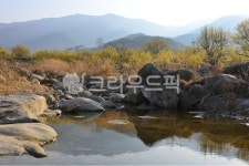nature, 자연, outdoors, 옥외, 구례산동산수유마을, 사진,이미지,일러스트,캘리그라피 - 영산공작가 크라우드픽 - 저작권 걱정 없는 상업용... 