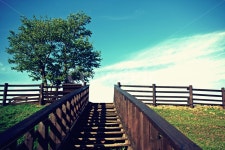 대관령, 나무, 데크, 난간, 하늘, 사진,이미지,일러스트,캘리그라피 - 유실장작가 크라우드픽 - 저작권 걱정 없는 상업용 이미지