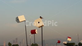 하늘공원, 새집, 새, 하늘, 참새, 사진,이미지,일러스트,캘리그라피 - 은미짱작가 크라우드픽 - 저작권 걱정 없는 상업용 이미지