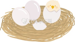 병아리, 부화, 계란껍질, 새, 조류, 사진,이미지,일러스트,캘리그라피 - MacaRongRong작가 크라우드픽 - 저작권 걱정 없는 상업용 이미지