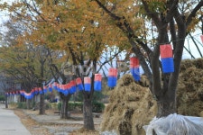 낙안읍성, 낙압읍성길, 단풍길, 낙안읍성축제, 가을낙안읍성, 사진,이미지,일러스트,캘리그라피 - kidosongbj작가 크라우드픽 - 저작권 걱정... 