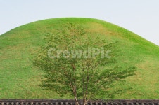 경주, 대릉원, 고분, 릉, 왕릉, 사진,이미지,일러스트,캘리그라피 - photoofyusoo작가 크라우드픽 - 저작권 걱정 없는 상업용 이미지