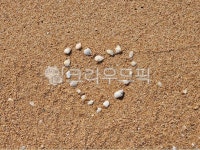 해변, 바다, 조개, 모래, beach, 사진,이미지,일러스트,캘리그라피 - 싱잉푸작가 크라우드픽 - 저작권 걱정 없는 상업용 이미지