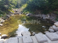 계곡, 상신계곡, 계룡산, 자연, 맑은물, 사진,이미지,일러스트,캘리그라피 - 편집쟁이작가 크라우드픽 - 저작권 걱정 없는 상업용 이미지